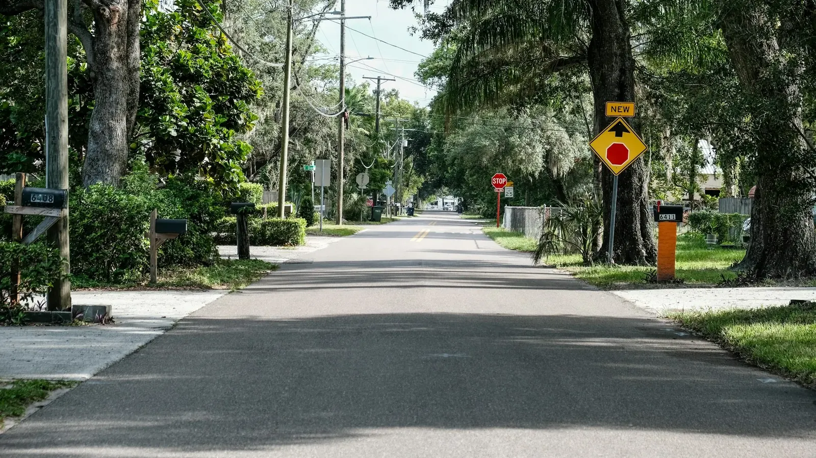 Quiet tree-lined residential street